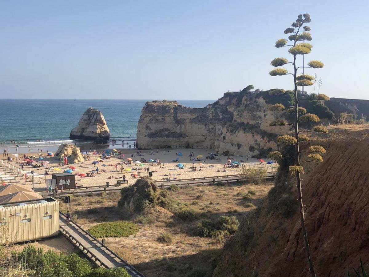 Algarve Ocean Garden Apartment Portimão Eksteriør bilde